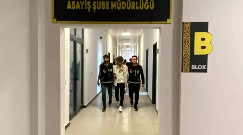 Genç kızı kaza gibi öldüren sanığa müebbet talebi
