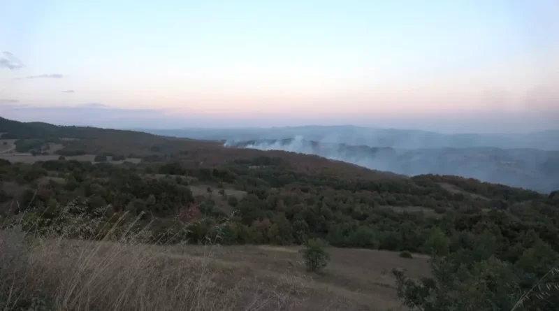 Kocaeli'de Orman Yangını Önlemleri Artıyor