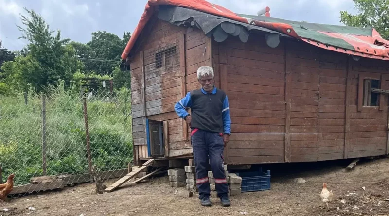 Sahipsiz Köpeklerin Saldırısı: 80 Hayvan Telef Oldu