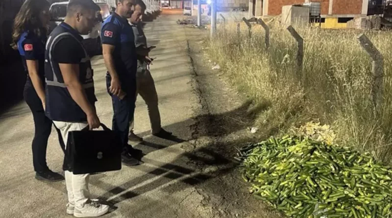 Ticaret Bakanlığından Kocaeli'de boş araziye salatalık döküldüğüne dair görüntülere ilişkin açıklama