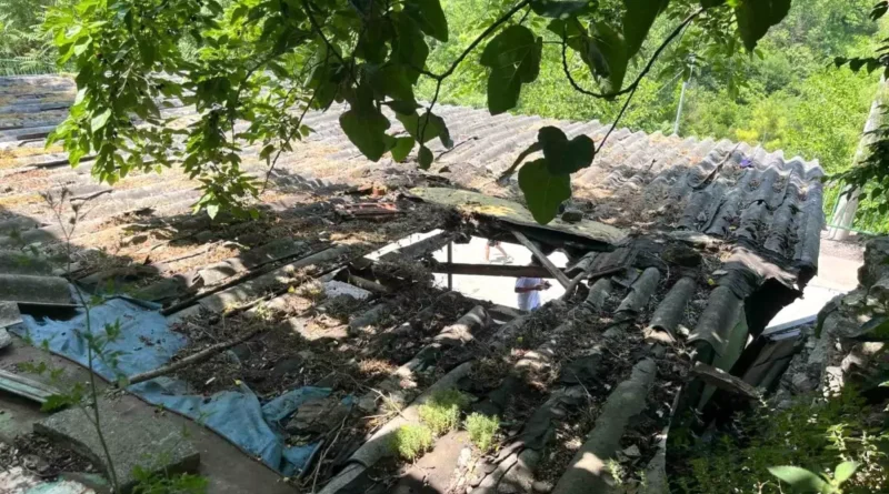 Kurbanlık Boğa Garaj Çatısından Düştü