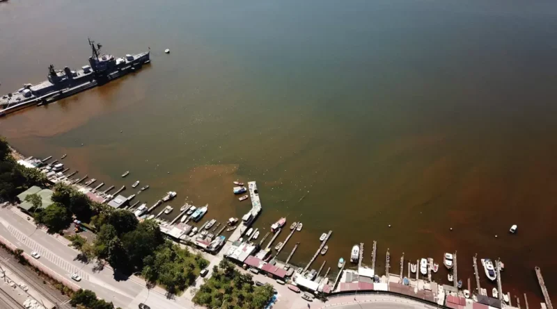 İzmit Körfezi'nde deniz kahverengi oldu