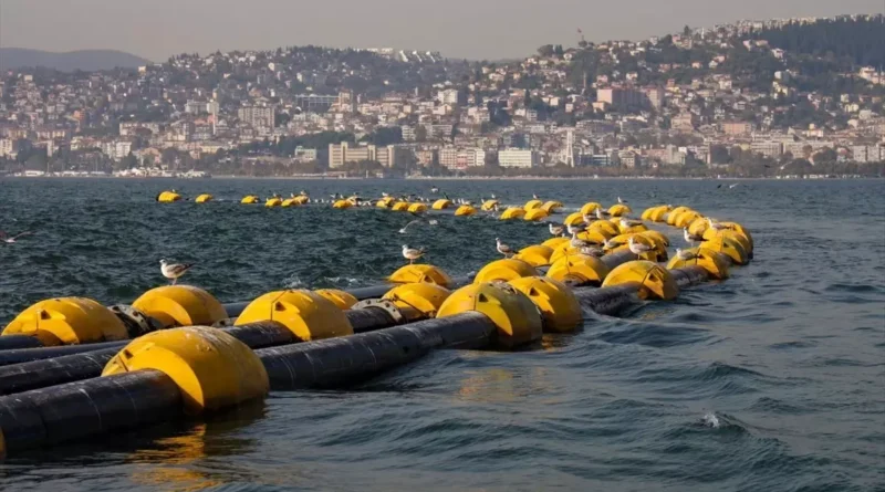 İzmit Körfezi'nde Oksijen Yüzde 40 Arttı