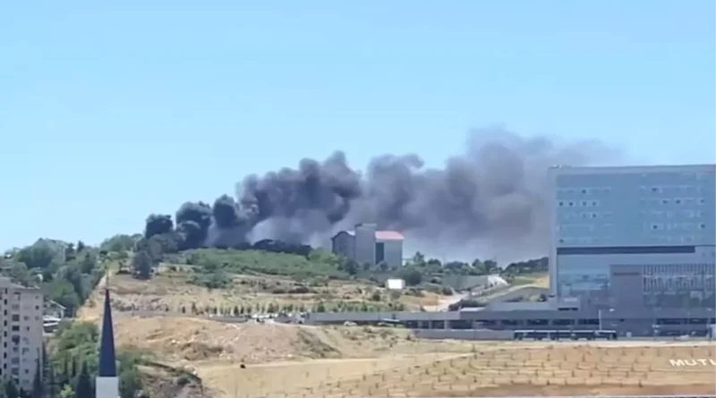 Kocaeli'nde Ağaçlık Alanda Yangın Çıktı