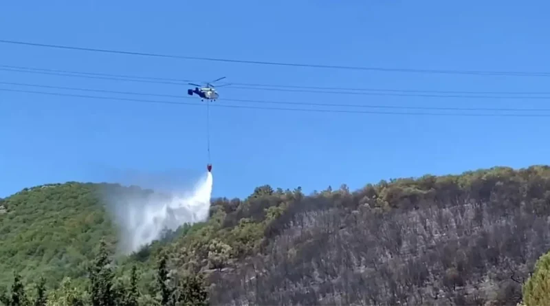 Kocaeli'de ağaçlık alandaki yangın söndürüldü