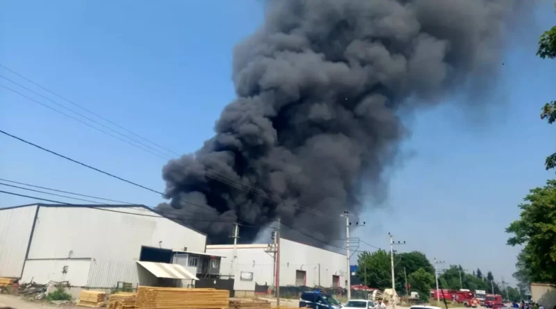 Kocaeli'de Boya Fabrikasında yangın oldu