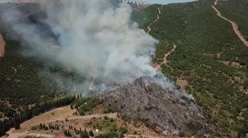 Kocaeli'de Yangın Ortaya Çıktı