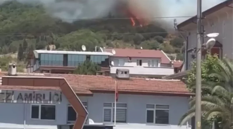 Kocaeli Körfez'de Makilikte Yangın Meydana Geldi