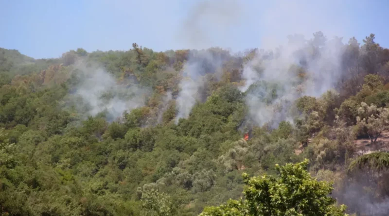 Kocaeli'deki Yangın Söndürüldü