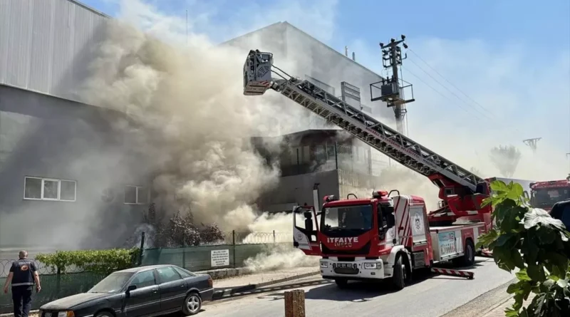 Gebze'deki market deposunda yangın çıktı.