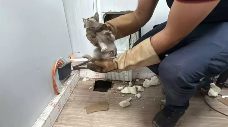 Kocaeli’de İtfaiye, Sıkışan Kedi Yavrusunu Kurtardı