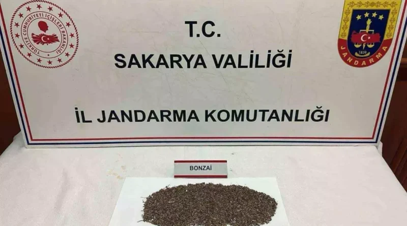 Sakarya'da uyuşturucu baskını: 150 gram bonzai bulundu