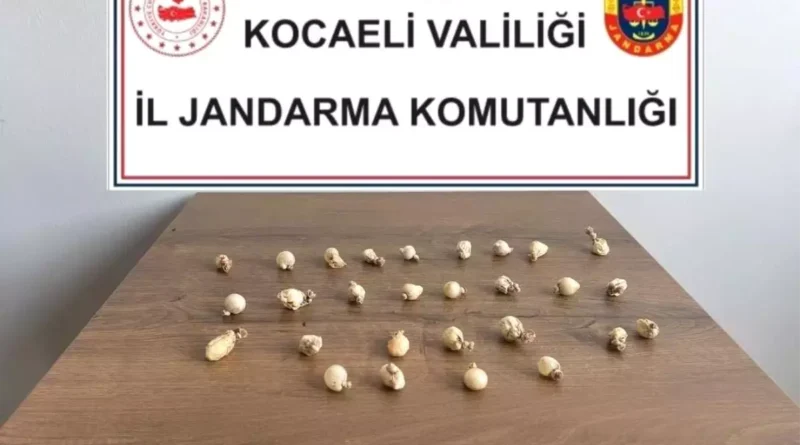 Kocaeli'nde Uyuşturucu Kapsülleriyle Yakalandı