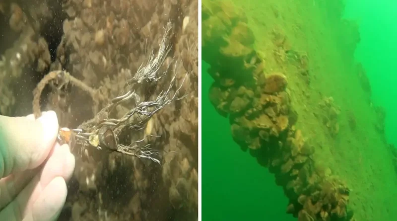 Sapanca Gölü'ne düşen uçağın enkazı 53 yıl sonra yeniden görüntülendi