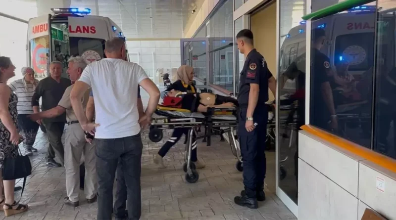 Kocaeli'de Çınar Dalı Düştü, 3 Yaralı