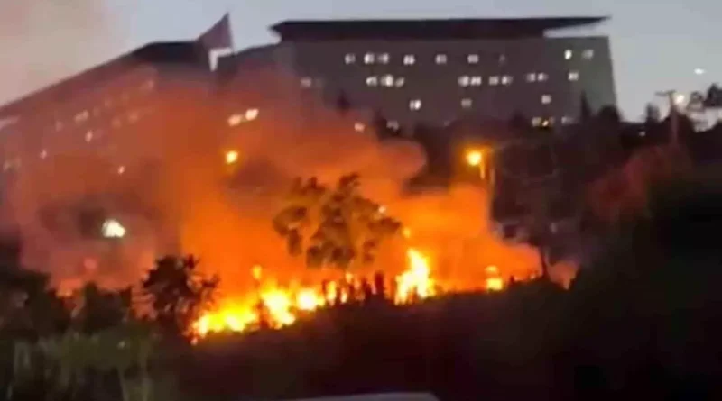 Darıca Millet Bahçesi'nde Yangın çıktı
