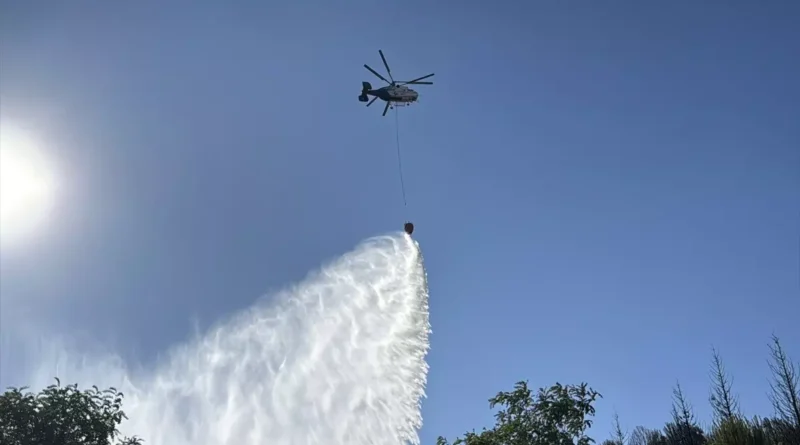 Gebze'de ağaçlık alandaki yangın söndürüldü.