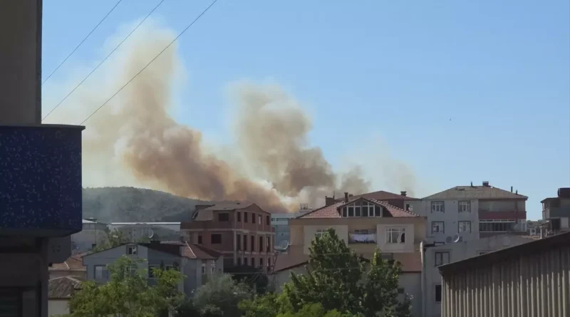 Kocaeli Gebze'de Ağaçlık Alanda Yangın