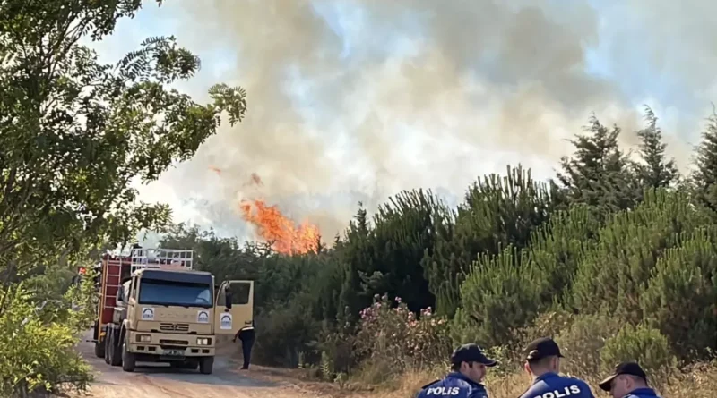 Gebze'de ağaçlık alanda yangın başladı