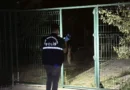 Kartepe'de Üvey Oğul Bıçakla Hasar Gördü
