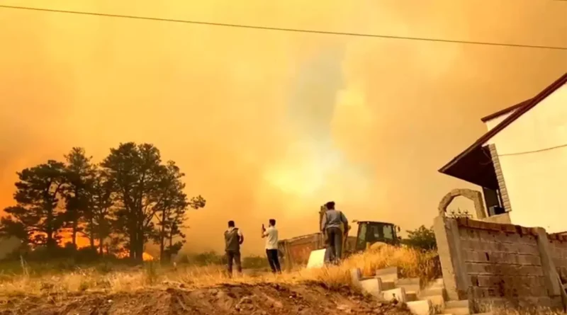 Kocaeli'de Orman Yangını: Evler Boşaltılıyor