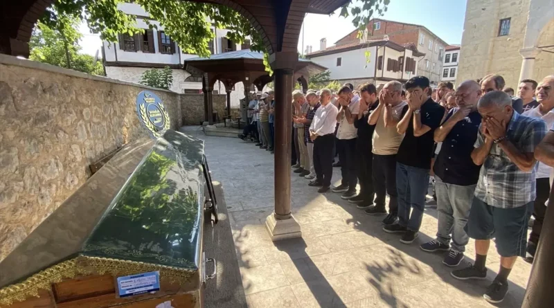 Çınar Dalının Altında Kalan Matematikçi Öldü