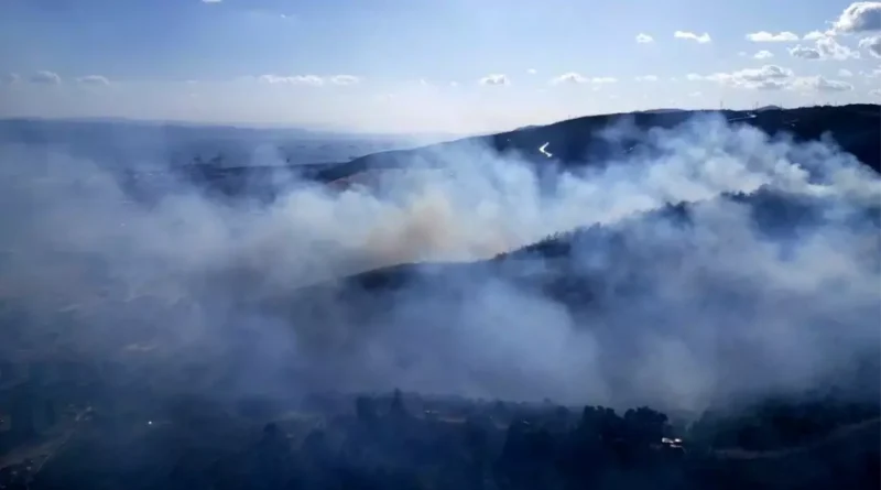 Kocaeli'nde Orman Yangını Hava Görüntüsü