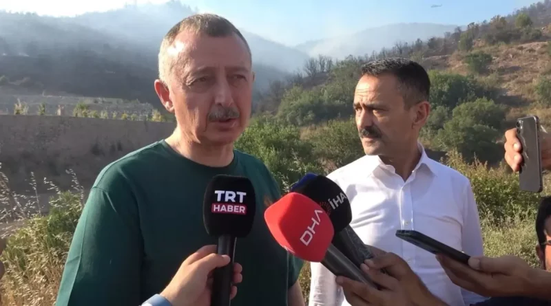 Kocaeli'de Orman Yangını Söndürüldü