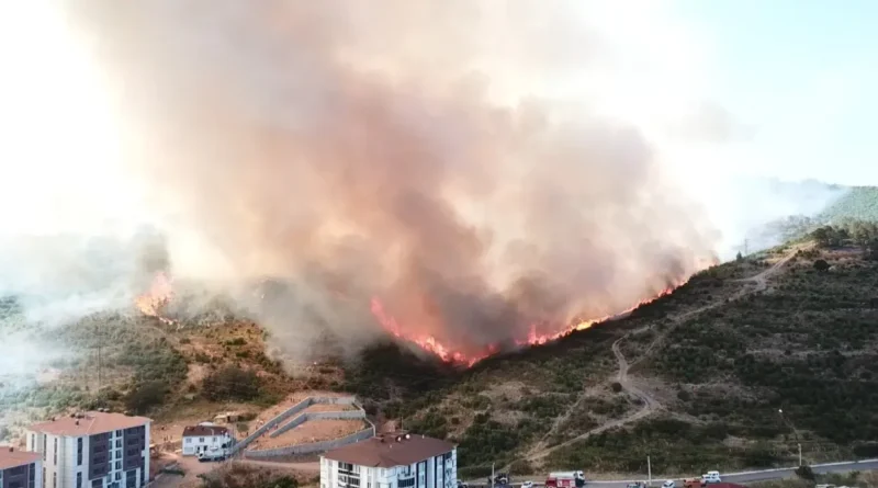 Kocaeli'deki Orman Yangınında 3 Kişi Etkilendi