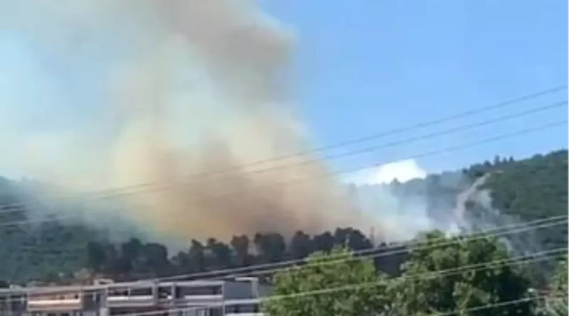 Kocaeli'de Orman Yangınına Müdahele Sürüyor