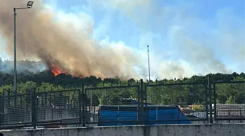 Kocaeli'de orman yangını meydana geldi