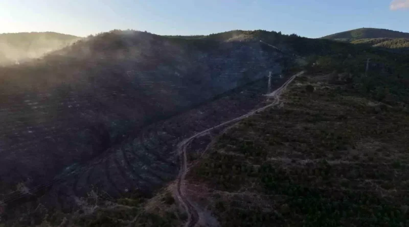 Kocaeli'deki Orman Yangını Söndürüldü