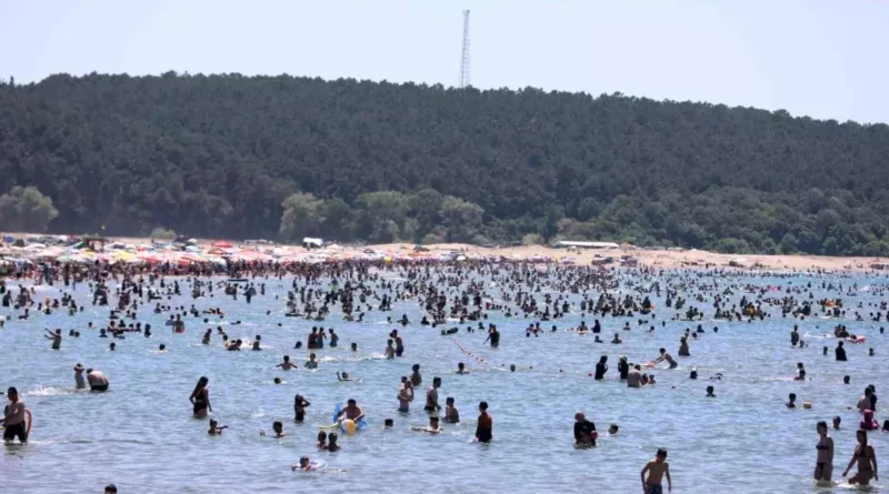 KOSKEM Ekipleri Kocaeli'nde 202 Kişiyi Kurtardı