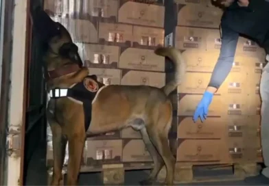 Kocaeli'de TEM Otoyolu'nda 9 Kilo Kokain Bulundu