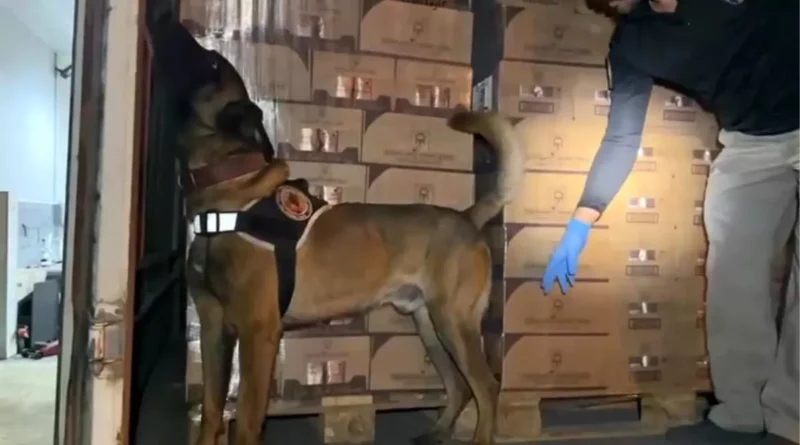 Kocaeli'de TEM Otoyolu'nda 9 Kilo Kokain Bulundu