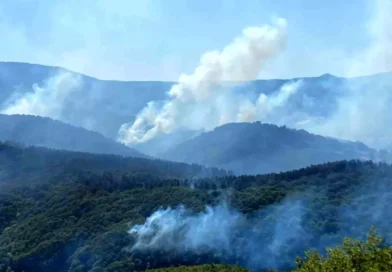Kocaeli'de Orman Yangınına Büyük Müdahale Devam Ediyor