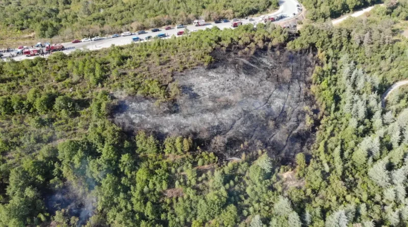 İzmit'te Kent Ormanı'nda Yangın Çıktı, İtfaiye Müdahale Etti