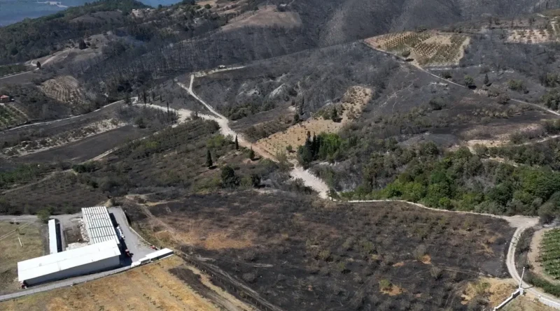 Karamürsel'de Yangında Zarar Gören Ormanlık Alanlar Havadan Görüntülendi