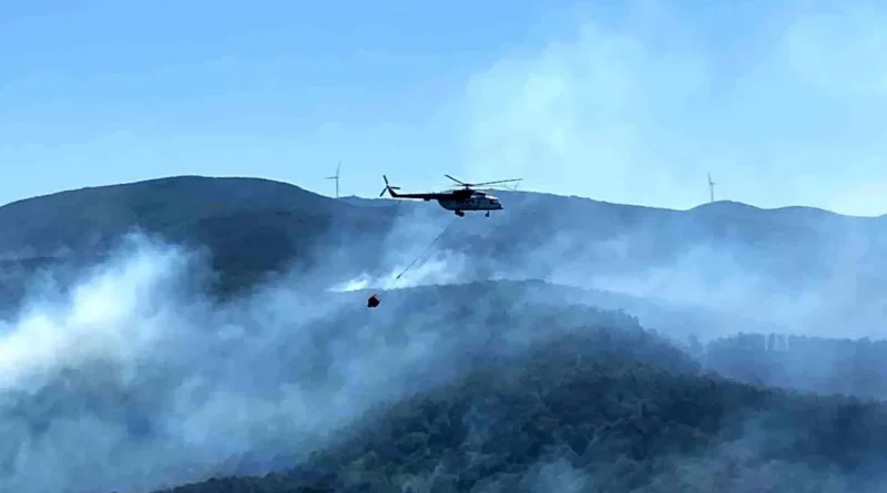 Karamürsel'de Orman Yangını: 3 Köy Tahliye Edildi